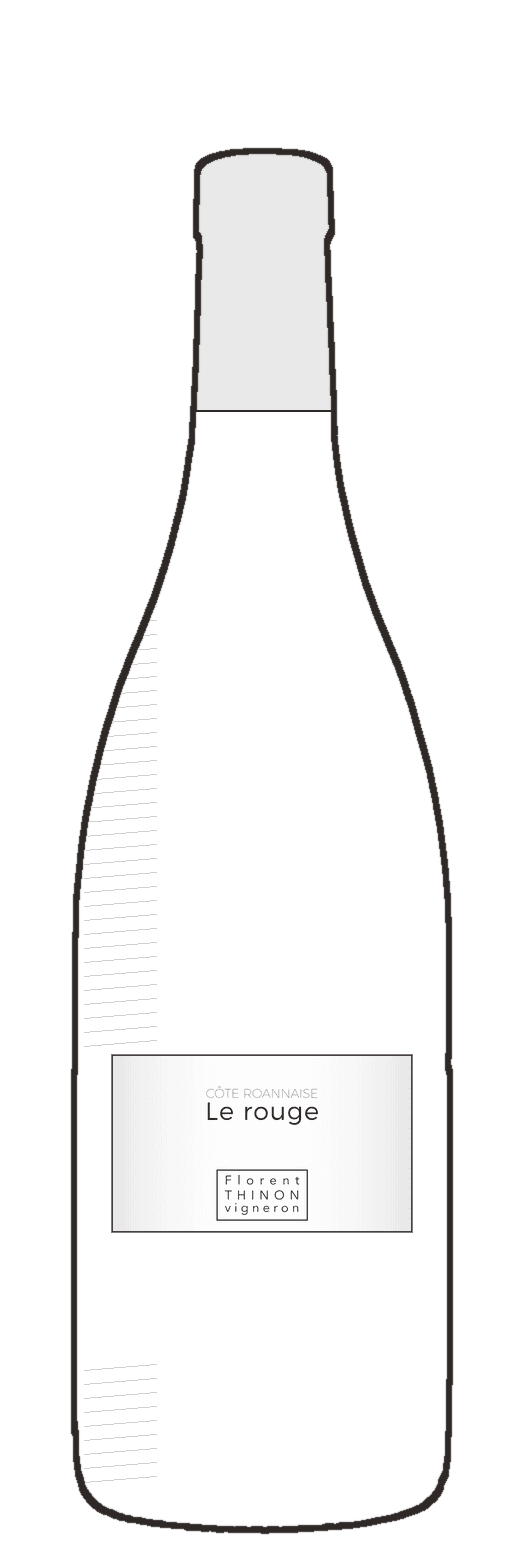 Gamay, Loire bottle