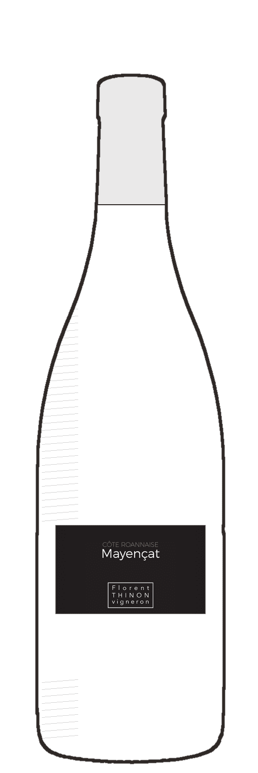 Gamay, Loire bottle